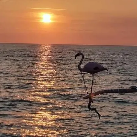 Affreschi Sul Mare Marina Di Pisa